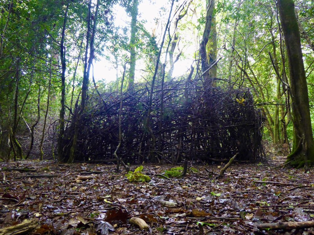 Alex Julyan is artist in residence at New Forest National Park